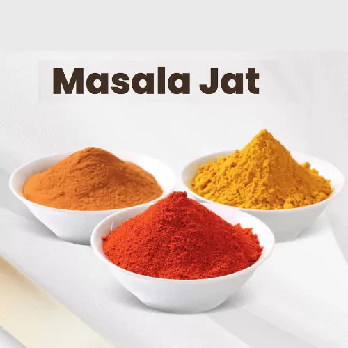 Spicy Masala